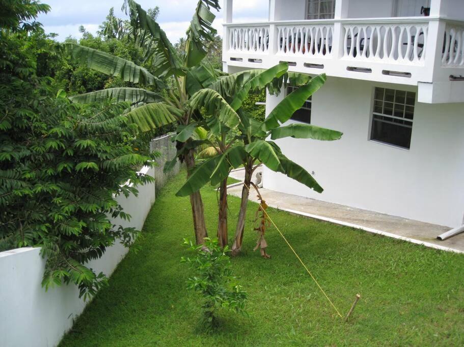 Selen'S Apartment In Ti Rocher Micoud Saint Lucia Kültér fotó